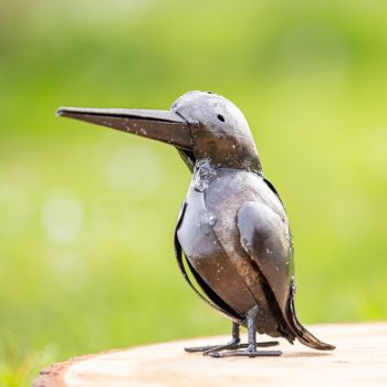Twee IJsvogels